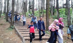 Nikmati Kesejukan dan Keindahan…