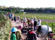 Anggota BPD Dilarang Mensuplay…