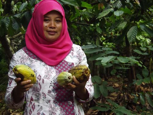 Buah Coklat Menguntung Rakyat 'Ibu Jumilah Bisa Tersenyum