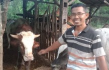 Peluang Bisnis Hewan Qurban Jelang…