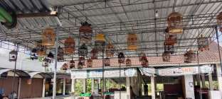 Lomba Burung Perkutut Gunungkidul…