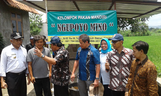 Dirjend KKP dan Bupati Sleman 'Panen Perdana Budidaya Lele system bioflok  Tahun 2017.