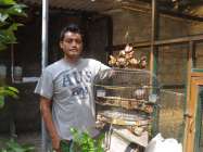 Tips Suryanto Peternak Burung Yang…