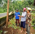 Kepala Celeng di Temukan LPMD Desa…