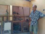 Pak Lurah Sidomulyo Bambanglipuro…