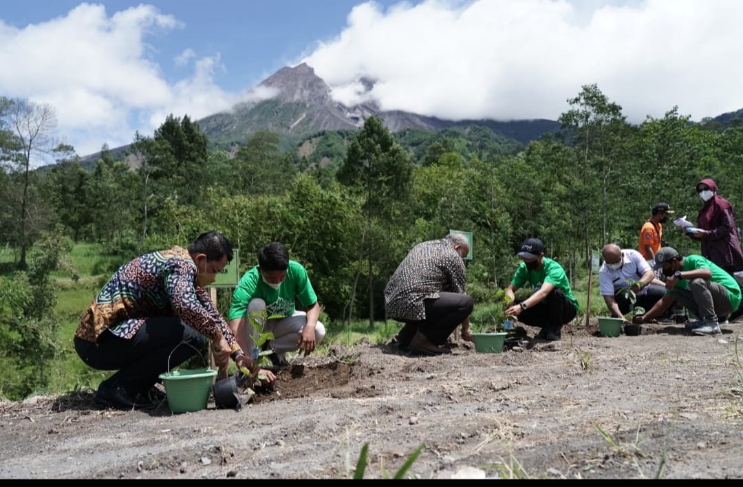 Untuk Kembalikan Kejayaan Kopi Merapi Kembali Di Kulik Dengan Keuangan Khusus