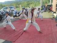 Inilah pencak silat kera sakti…