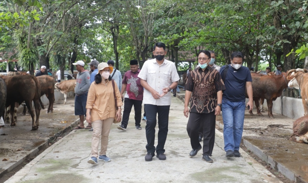 Penyakit mulut dan kuku mengagetkan dunia perhewanan 