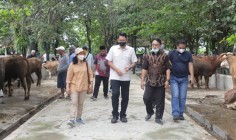 Penyakit mulut dan kuku mengagetkan…