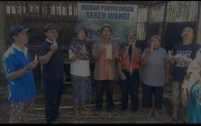 Inilah manfaat tanaman sereh penghasil…