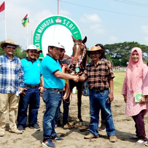 Kuda Lady Aria Sabet Prestasi di Pacuan Kuda Piala Tiga Mahkota Seri 1 2020