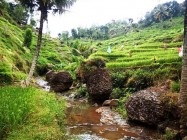 Saking Eloknya Kawasan Kedung Kandang…