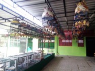 Peternakan Burung Perkutut di Kabupaten…