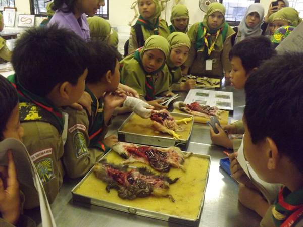 Siswa SD Kunjungi laboratorium kedokteran Hewan UGM