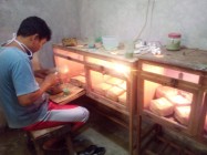 Peternak ayam dan burung dimasa…