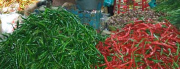 Harga Cabai Tak Menentu Pedagang…