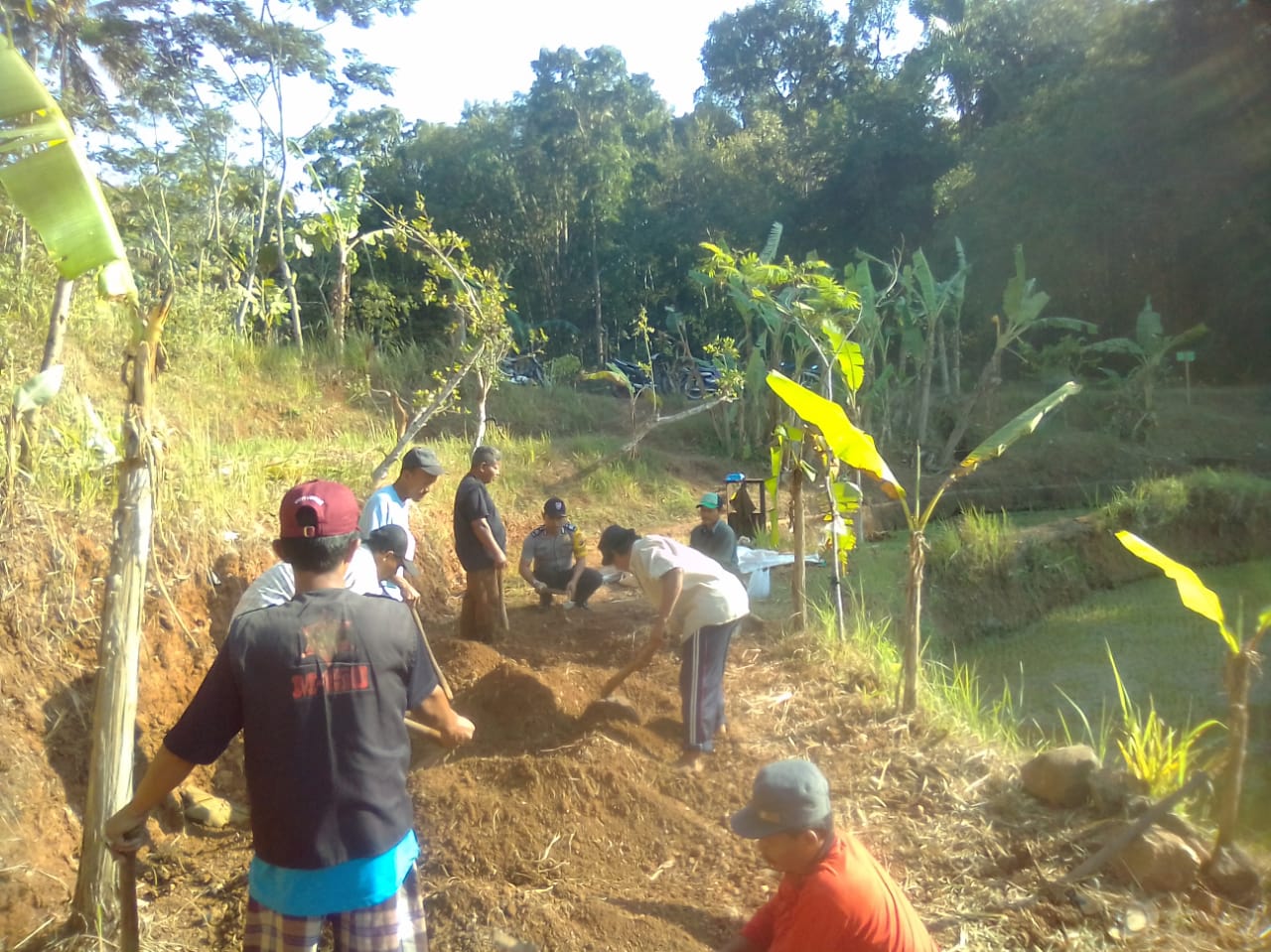 LPMD Sudah Nyekrup  Kebit Swadaya Semoyo Patuk  Lakukan Pembibitan Kayu Sengon 