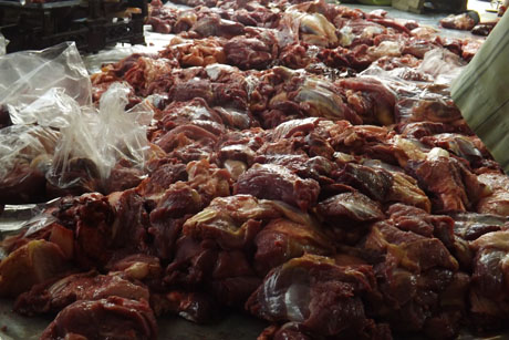 Kesadaran Masyarakat Untuk Qurban Cukup Tinggi