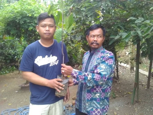 Subsidi pupuk agar petani bisa aman 