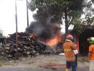 Mujamil Ngipik Banguntapan Gigit…