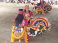 Kesenian jathilan kudo laksono…