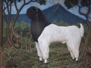 Prospek beternak kambing Peranakan…