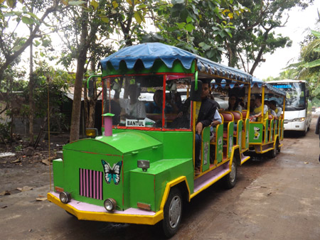Kereta kelinci jadi salah satu moda angkutan khusus keliling desa