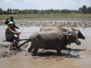 Jaga Soliditas, MKGR Siap Antar…