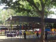 Lomba Manuk Piala Raja Prambanan…