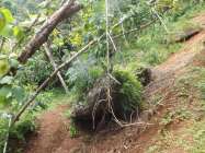 Obyek Wisata Alam Nawing Rawan…