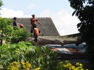 Angin Kencang Robohkan Randu Alas…