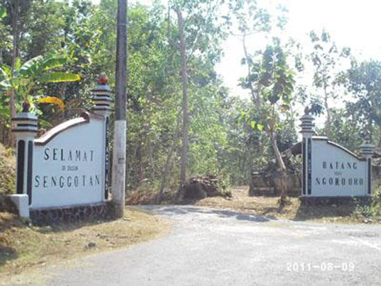 Warga Doga dan Senggotan Gunungkidul  Mendengar Suara Tiupan Mirif  Sawangan Burung Dara Gempar! 