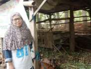 Sapi Mati Warga Sekitar Nglegi…