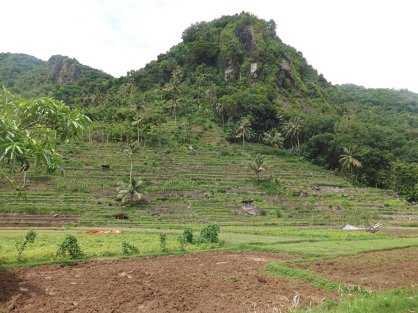 Desa Wisata Wunut  Imogiri Bantul, Bersolek