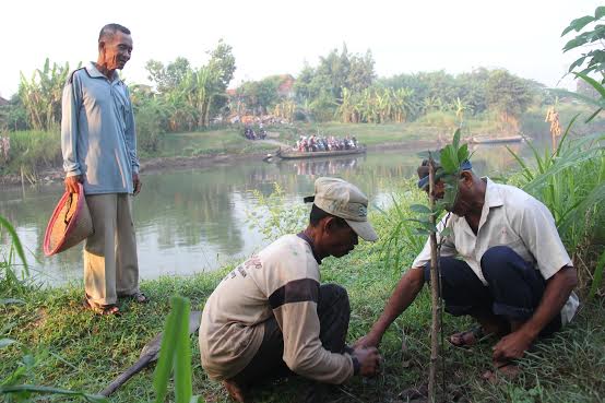 Nich Jenis Jenis Ikan Sungai Brantas Wringinanom di Gresik Jatim
