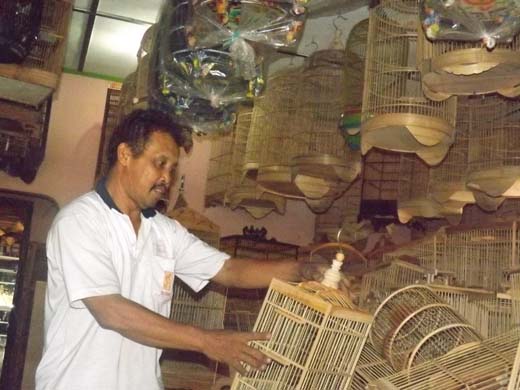 Cabup Gunungkidul Bermunculan "Pedagang Burung Berharap  Harga-Harga Murah