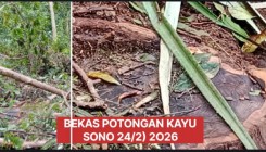 LSM WGAB DPD DIY Soroti 2 Tengkulak…