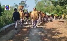 Perpisahan Kelas 6 SDN Gununggambar…