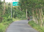 Pengendara Sepeda onthel Gugup…