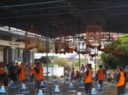 Kontes berkicau dies natalis kedokteran…