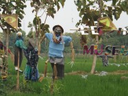 Festival memedi sawah kearipan…