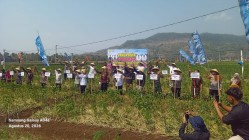 Petani Parangtritis Bantul Gerakan…