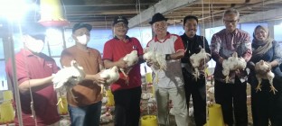Gunakan Dana Desa Bumkal Giri Puspito…