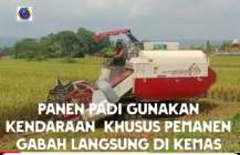 Petani gunakan mesin otomatis saat…