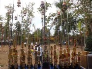 Konkurs Perkutut Bupati Cup Kulonprogo…