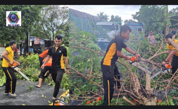 Respon Cepat Polresta Banyuwangi Atasi Pohon Tumbang Akibat Angin Puting Beliung