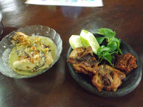 Ueenaknya masakan daging burung punay muda