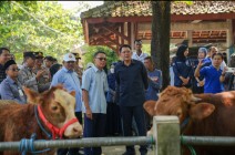 Jelang Idul Adha, Wabup Sleman…