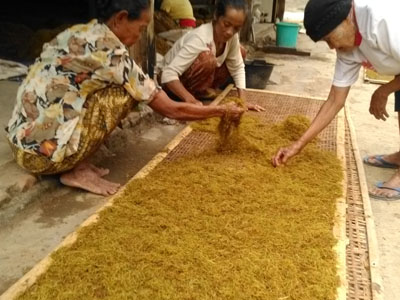 Warga Siluk Bantul 2017 Panen Tembakau Harga Lumayan Mans